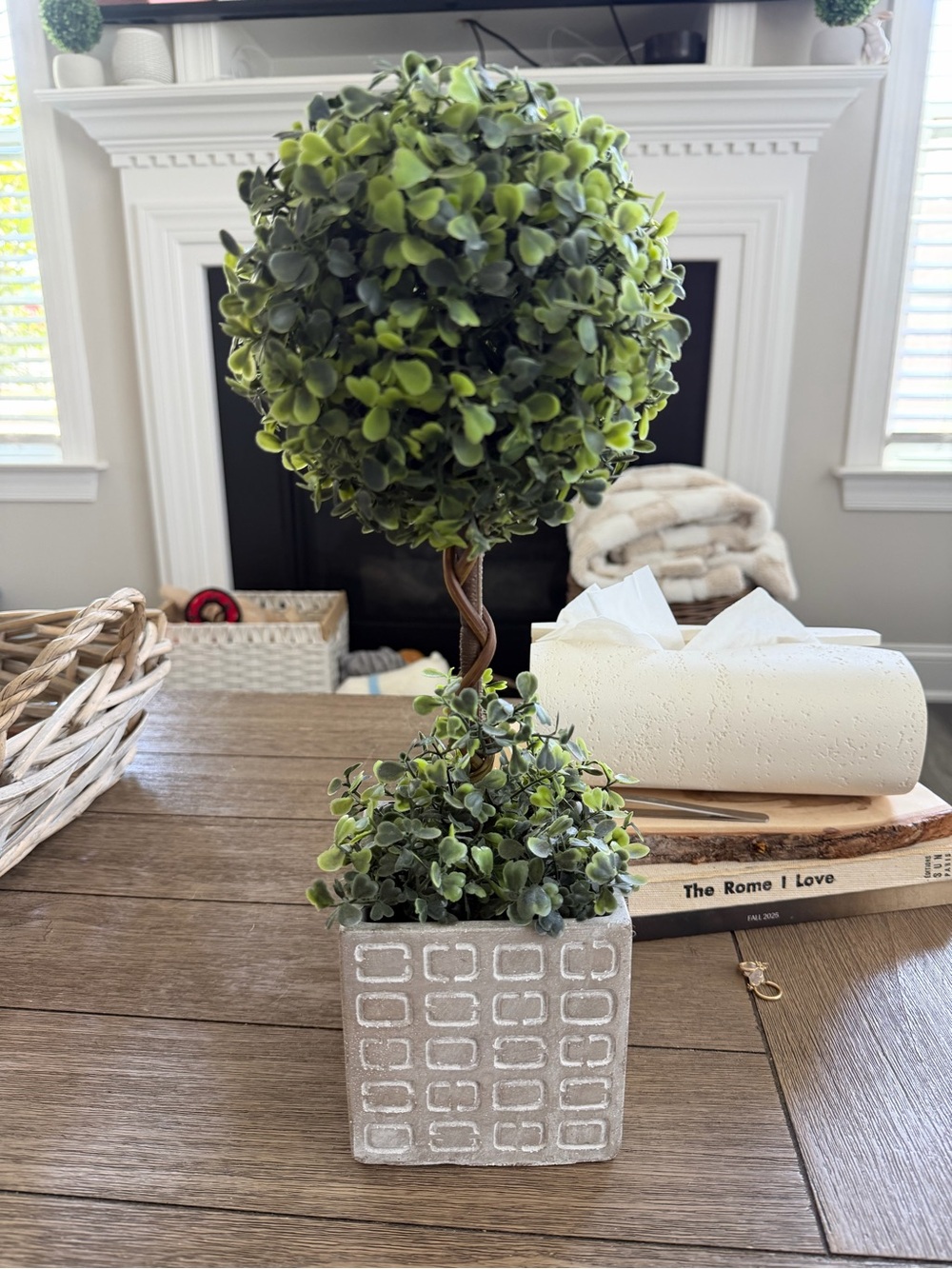 Green Topiary in Gray Decorative Planter -